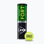 Dunlop Fort All Court Ts 4B 2025 tennis balls