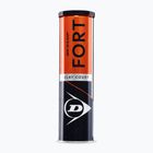Dunlop Fort Clay Court 4B 2025 tennis balls