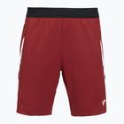 Men's shorts VICTOR R-60200 biking red