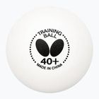 Butterfly table tennis balls 120 pcs white.