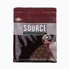 Dynamite Baits The Source 20mm maroon carp boilies ADY040073