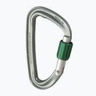 Wild Country Eos gunmetal/green carabiner