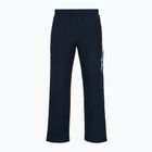 Men's training trousers Mizuno Takeshi Track navy
