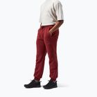 Men's trousers Berghaus Prism syrah
