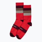 Men's Endura Bandwidth cycling socks pomegranate