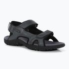 Men's sandals REGATTA Haris briar