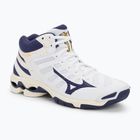 Men's volleyball shoes Mizuno Wave Voltage Mid white / blue ribbon / mp gold