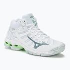 Women's volleyball shoes Mizuno Wave Voltage Mid white/glacial ridge/patina green