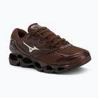 Men's shoes Mizuno Wave Prophecy LS chicory coffee/black/chicory coffee