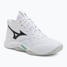 Volleyball shoes Mizuno Wave Momentum Pro Mid white/black/frozen emerald