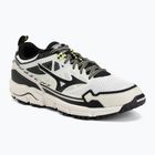Shoes Mizuno Wave Daichi LS gf white/black/daiquiri green