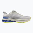 Men's running shoes Mizuno Wave Skyrise 7 dawn blue/white/dazzling blue