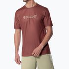 Men's running T-shirt Mizuno Core Graphic Tee copper brown