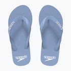 Men's flip-flops Speedo Flip Flop curious blue