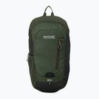 Hiking backpack REGATTA Highton V2 20 l dkkhk/frlfcl