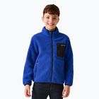 Children's sweatshirt REGATTA Junior Frankie Full Zip olympian blu