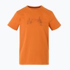 Men's trekking T-shirt REGATTA Breezed V fox