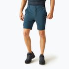 Men's trekking shorts REGATTA Leesville III moonlight denim