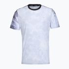 Men's running shirt Mizuno Graphic Short Sleeve Tee tsukikage
