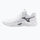 Volleyball shoes Mizuno Wave Momentum Pro white/metallic gray/black