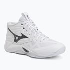Volleyball shoes Mizuno Wave Momentum Pro Mid white/metallic gray/black