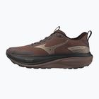 Women's running shoes Mizuno Wave Rider Tt 4 peppercorn/simply taupe/black