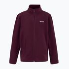 Kids' fleece REGATTA King II fig
