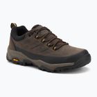 Men's trekking boots REGATTA Blake Low peat/wood