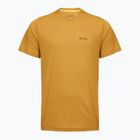 Men's trekking T-shirt REGATTA Mindoi Anti Insect wood brown