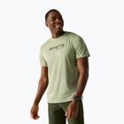 Men's trekking T-shirt REGATTA Fingal light sage