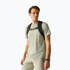 Men's trekking T-shirt REGATTA Fingal Edition light sage