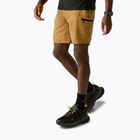 Men's trekking shorts REGATTA Leesville III wood brown