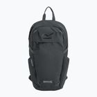 Urban backpack REGATTA Everyday Prism 20 l ash