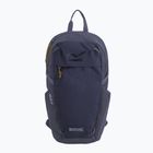 Urban backpack REGATTA Everyday Prism 20 l night sky