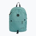 Urban backpack REGATTA Boulder 25 l ivy moss