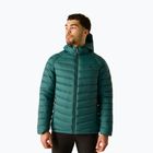Men's insulated jacket Dare 2b Torrek Padded Jacket mediterranea