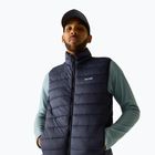 Men's gilet REGATTA Marizion B/W navy
