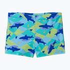 Boys' swim boxers Speedo Print Aquashort deep sapphire