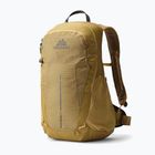 Hiking backpack Gregory Arrio 20 RC amber haze