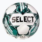 SELECT football Numero 10 v23 white/green size 5