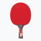 Double Fish CK208 Tournament table tennis racket