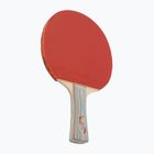 Double Fish 1A+ table tennis racket