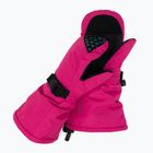 Viking Nomadic GTX ski glove pink 165239336