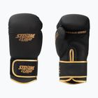 Boxing gloves StormCloud Boxing Pro black/gold
