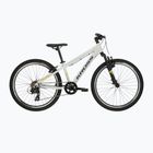 Children's bike KROSS Dust Jr 1.0 grey/black/shine