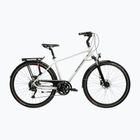 Trekking bike KROSS Trans 5.0 grey/navy/shine