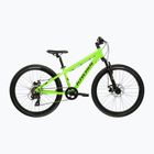 Children's bike KROSS Dust Jr 1.0 Dsc green/green/shine