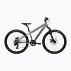 Children's bike KROSS Dust Jr 1.0 Dsc grey/navy/matte