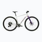 Gravel bike KROSS Esker 1.0 FL grey/purple/shine