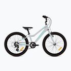 Children's bike KROSS Lea Mini 1.0 silver/turquoise/shine